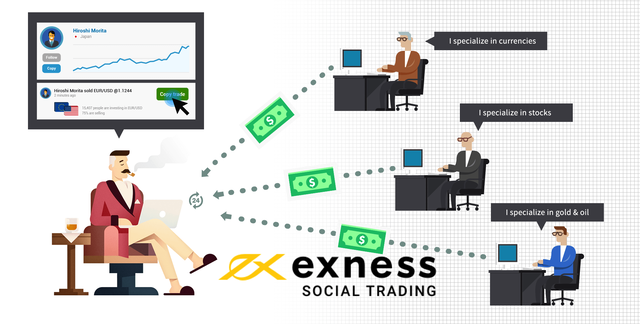 what-is-exness-social-trading-how-to-use-it